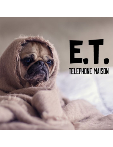 PULL IN BOXER HOMME FASHION 2 E.T